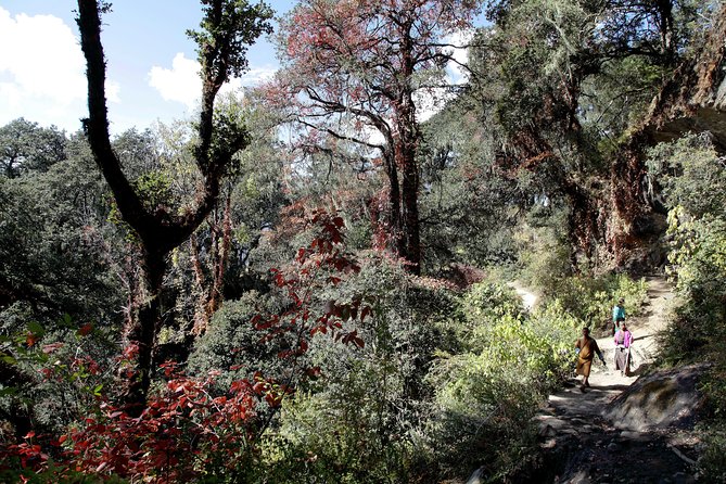 Druk Path Trek: Discover The Raw Natural Beauty of Bhutan - Taktsang (Tiger Nest) hike: acclimatization with a view