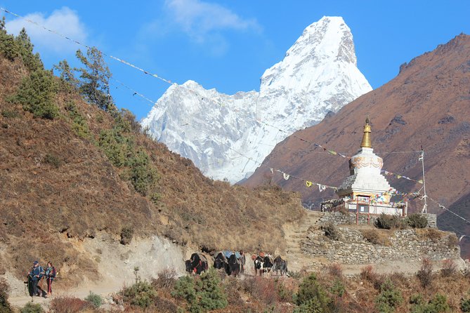 Everest Three Pass Trek - Tengboche to Dingboche: where the scenery gets serious