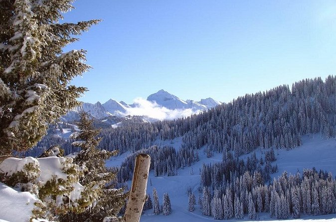 Exotic Manali Package - Price and What You Actually Get for $81