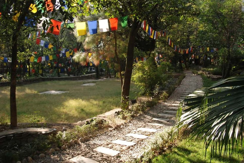 Explore Dharamshala's monasteries for Tibetan spirituality - Dalai Lama temple/office area and a quick Kalachakra temple visit