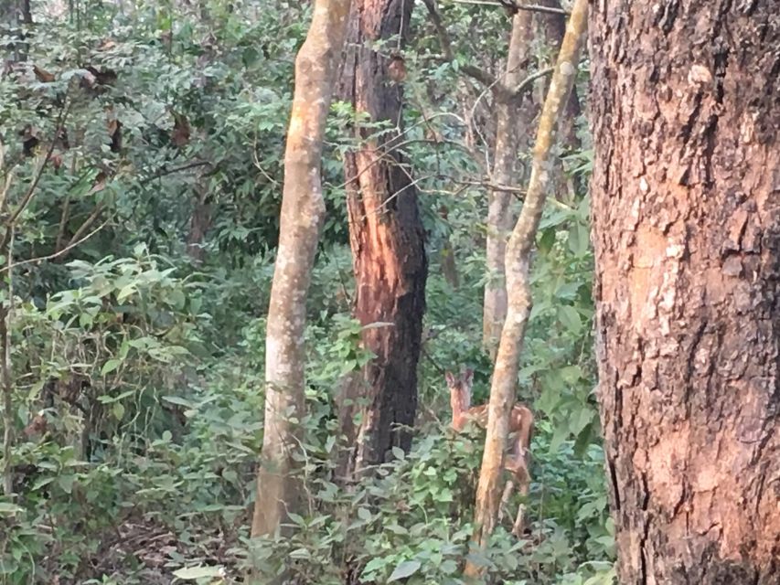 From Chitwan : Half Day Jeep Safari Tour - Sauraha pickup and the park gate: where the time actually goes
