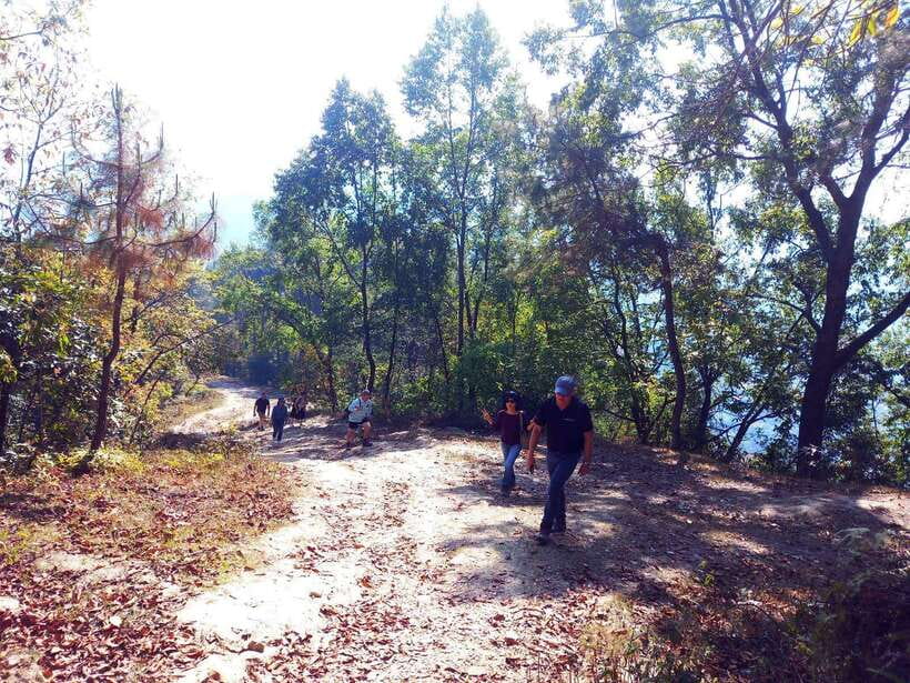 From Kathmandu: 3-Day Chisapani-Nagarkot Trek & Bhaktapur - Who Should Book This Trek (and Who Should Skip It)