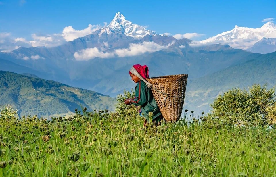 From Pokhara: 3-Day Ghorepani Poonhill Short Trek - Should you book this 3-day Ghorepani Poon Hill trek?