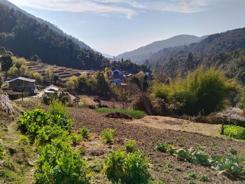 From Pokhara: 4-Day Annapurna and Poon Hill Himalayan Trek - Day 1: From Pokhara to Ulleri, then up to Ghorepani
