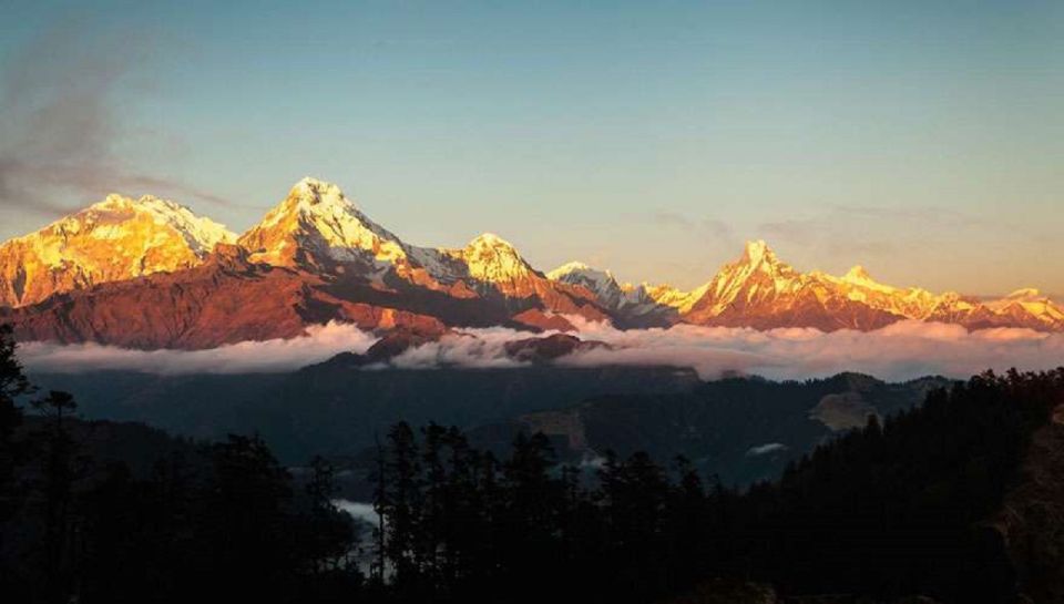 From Pokhara: 5-Day Annapurna Basecamp Trek with Hot Springs - Deurali to Annapurna Base Camp: the day that tests you at 4,130m