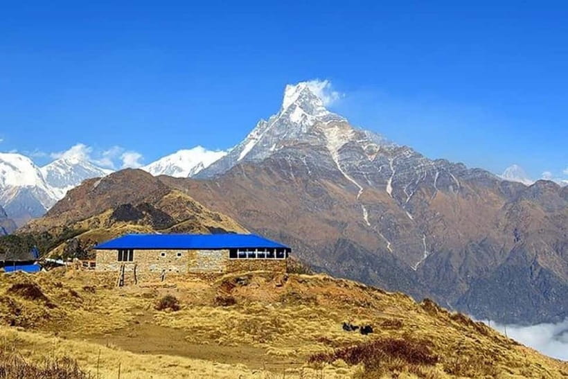 From Pokhara: 5-Day Mardi Himal Base Camp Trek - Packing Like a Local: Gear, Cash, and Cold-Weather Common Sense