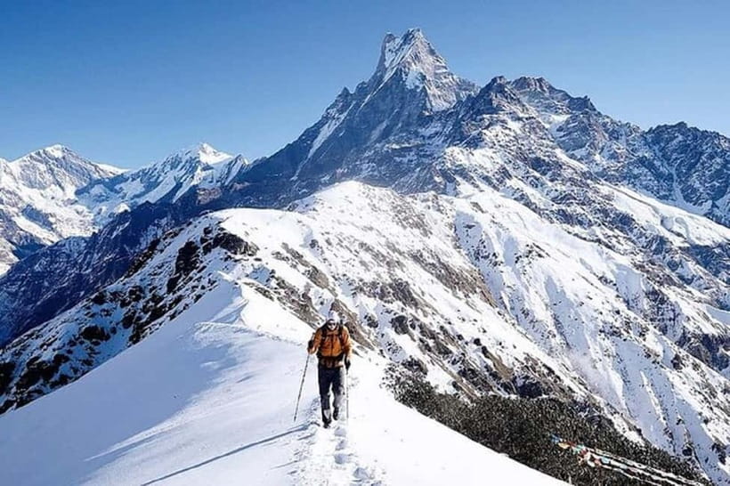 From Pokhara: 5-Day Mardi Himal Base Camp Trek - Low Camp and Rhododendron Forests: Building Your Rhythm