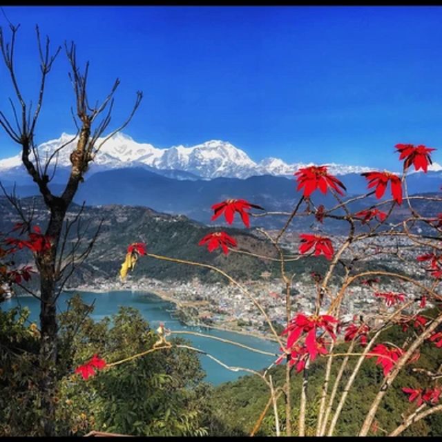 From Pokhara: Guided Day Jungle Hiking Tour with Boat Ride - Phewa Lake: your day begins on water, not trails