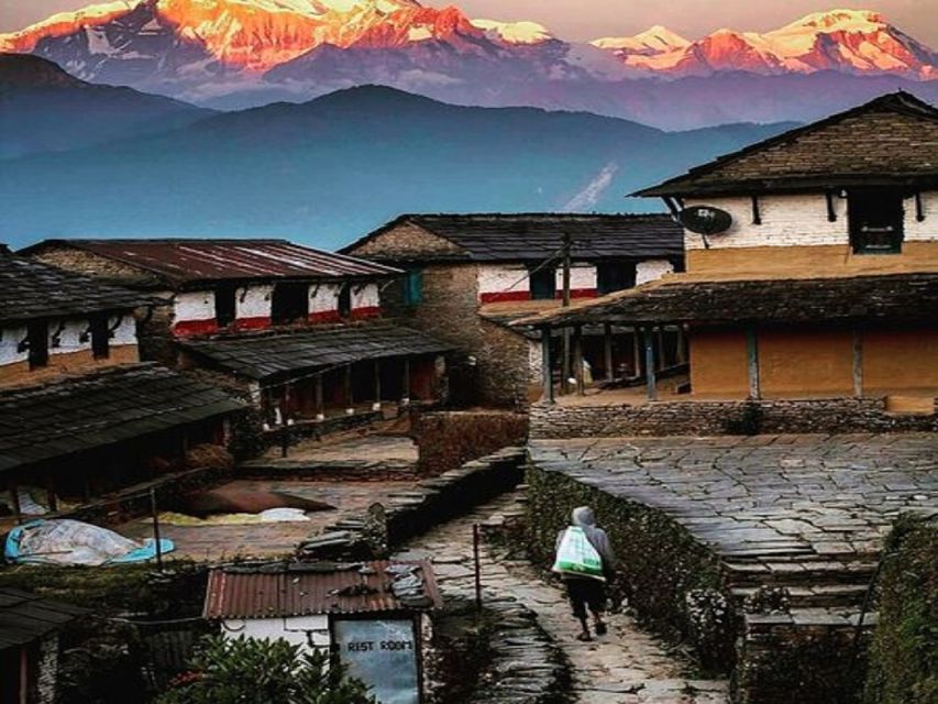 From Pokhara: Guided Tour to Visit 4 Himalayas View Point - Dhampus Village Walk: Terraces, Gurung Life, and Mountain Views