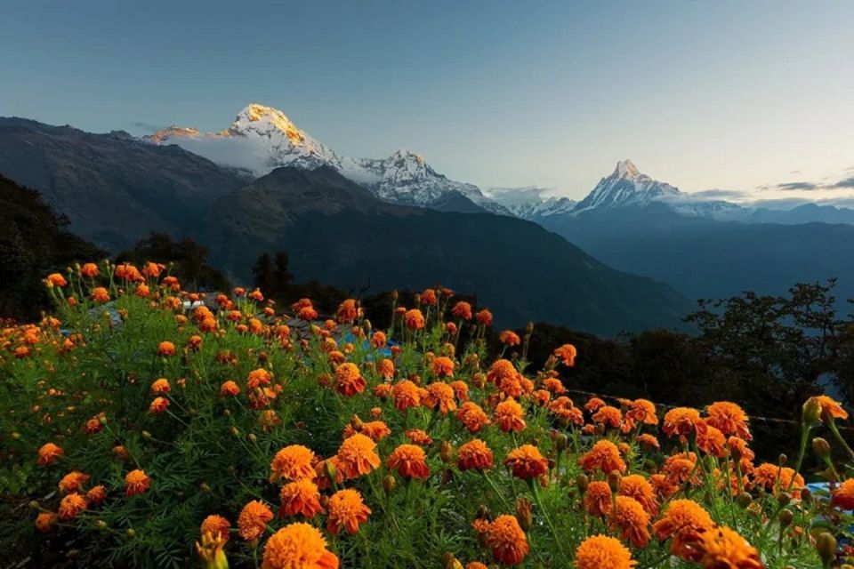 From Pokhara: Guided Tour to Visit 4 Himalayas View Point - World Peace Pagoda (Peace Stupa): A Quiet Ending With Meaning