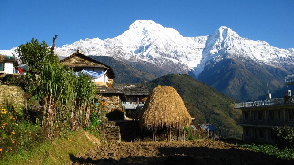 From Pokhara: Guided Tour to Visit 4 Himalayas View Point - Getting the Most From Each Stop: Timing, Clothing, and Photos