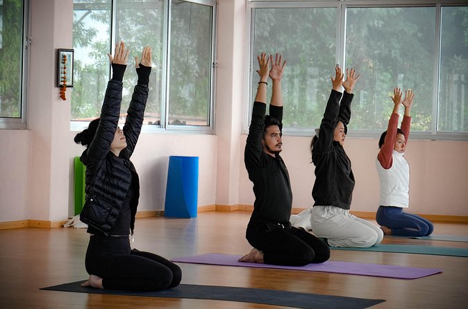 Ghorepani Ghandruk Wellness Yoga Trek - The Ghorepani climb: your first real push (and the hardest day)