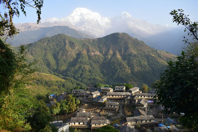 Ghorepani Ghandruk Wellness Yoga Trek - Day 3 Pokhara: yoga as your bridge into trekking mode