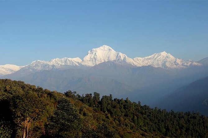 Ghorepani Poon Hill Trek - Teahouses, meals, and the comfort details that change your mood