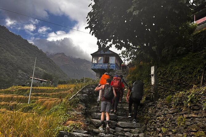 Ghorepani Poonhill Private Trek - 2 nights / 3 days - Guides and the small details that change everything