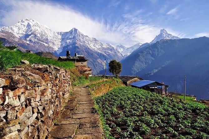 Ghorepani Poonhill Trek 5 Days from Pokhara - Price and value: what your $450 includes (and what doesn’t)
