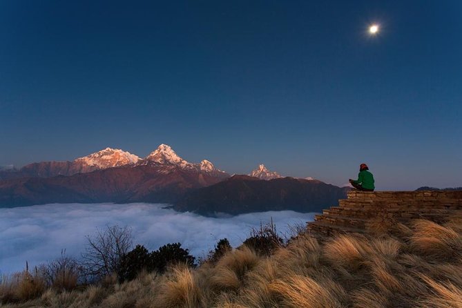 Ghorepani Poonhill Trek 5 Days from Pokhara - Day 2: Ghorepani through oak and rhododendron country