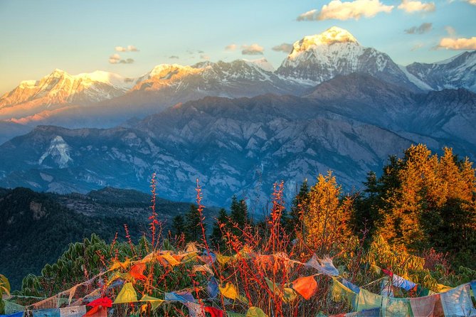 Ghorepani Poonhill Trek 5 Days from Pokhara - Comfort and logistics: teahouses, meals, and porter help
