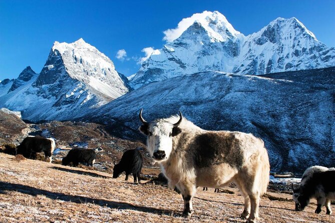Guaranteed window seat for Everest Scenic Flight Pickup & Drop - Key things I’d circle before you book