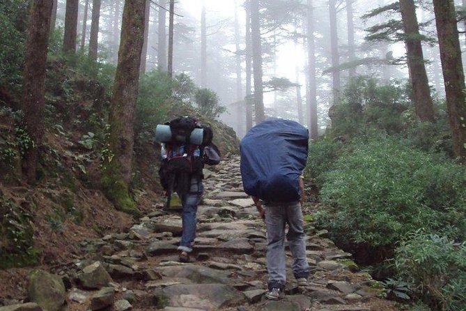 Guided Day Hike to Guna Devi Temple from Mcleodganj - Dharamkot and Balh/Bahl Village stops: where the hike turns human