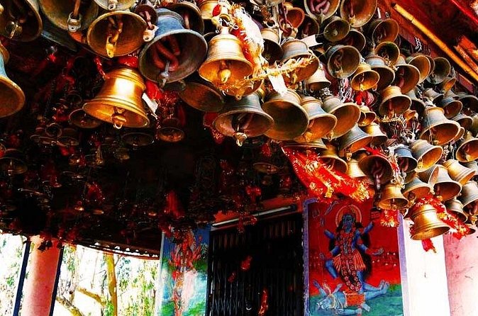 Guided Day Hike to Guna Devi Temple from Mcleodganj - Price and value: $31 for a guided, structured day in the hills