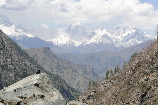 Guided Day Hike to Guna Devi Temple from Mcleodganj - Bhated Nallah to Balh Village: the uphill that sets the tone