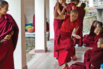 Guided Tibetan Culture Walk at Norbulingka,Gyuto and Nunnery - Gyuto Karmapa Temple: Tantric meditation and ritual arts in focus