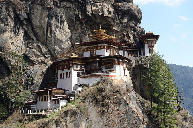 Guided tour of Tiger's Nest in Paro, Bhutan - Kichu Temple: A Calmer Cultural Stop That Keeps the Day Balanced