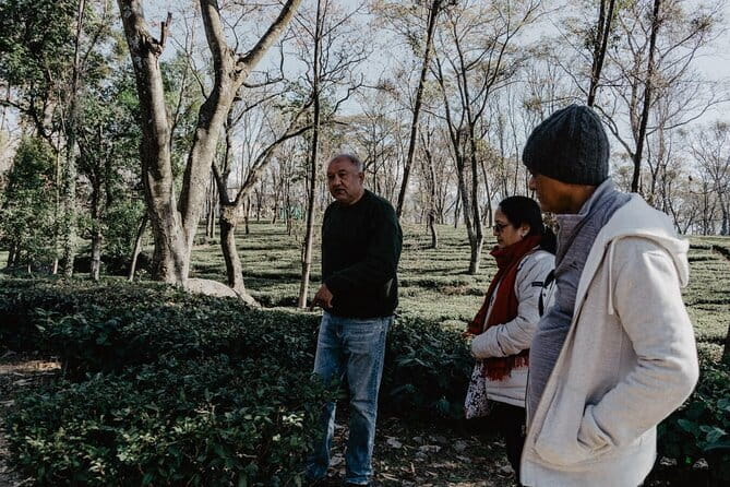 Guided Tour to Palampur-Monasteries, Temple & Tea Gardens visit - The cultural sweep back toward McLeodganj: temple complex and market time