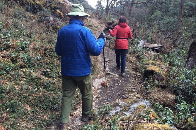 Guided Village walk with Stories in Dharamsala - Starting in Naddi: From Naddi Main Square to Real Hill Life