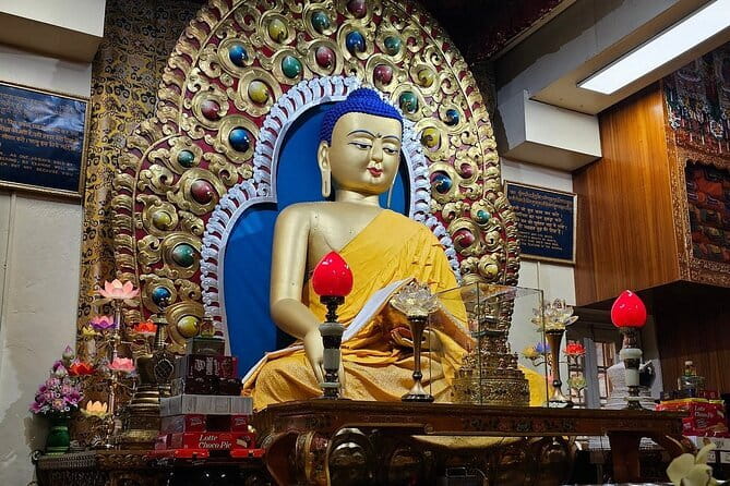 Guided Village walk with Stories in Dharamsala - Who Should Book This (and Who Might Skip It)