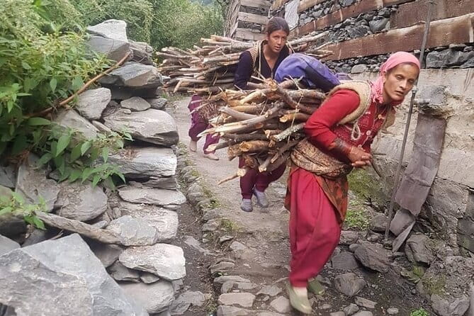 Guided Village walk with Stories in Dharamsala - Deodar and Pine Trails with Dhauladhar Views That Keep Coming Back