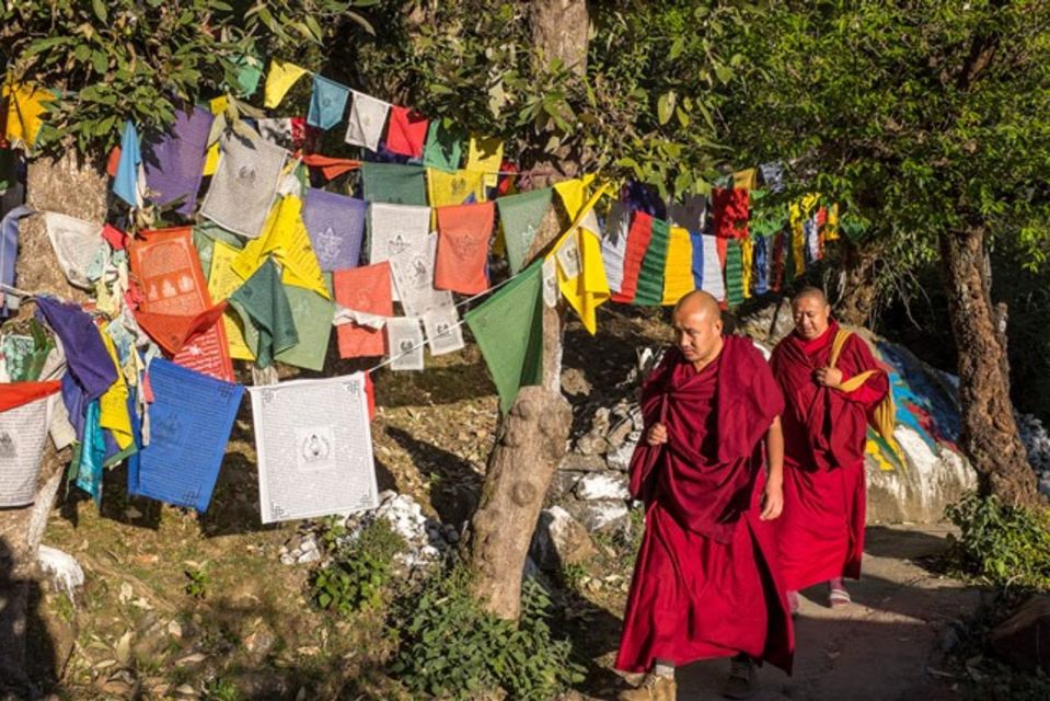 Guided Walk, India's Own Mini Tibet at Mcleodganj - Tsuglagkhang: Dalai Lama’s temple complex and residential life