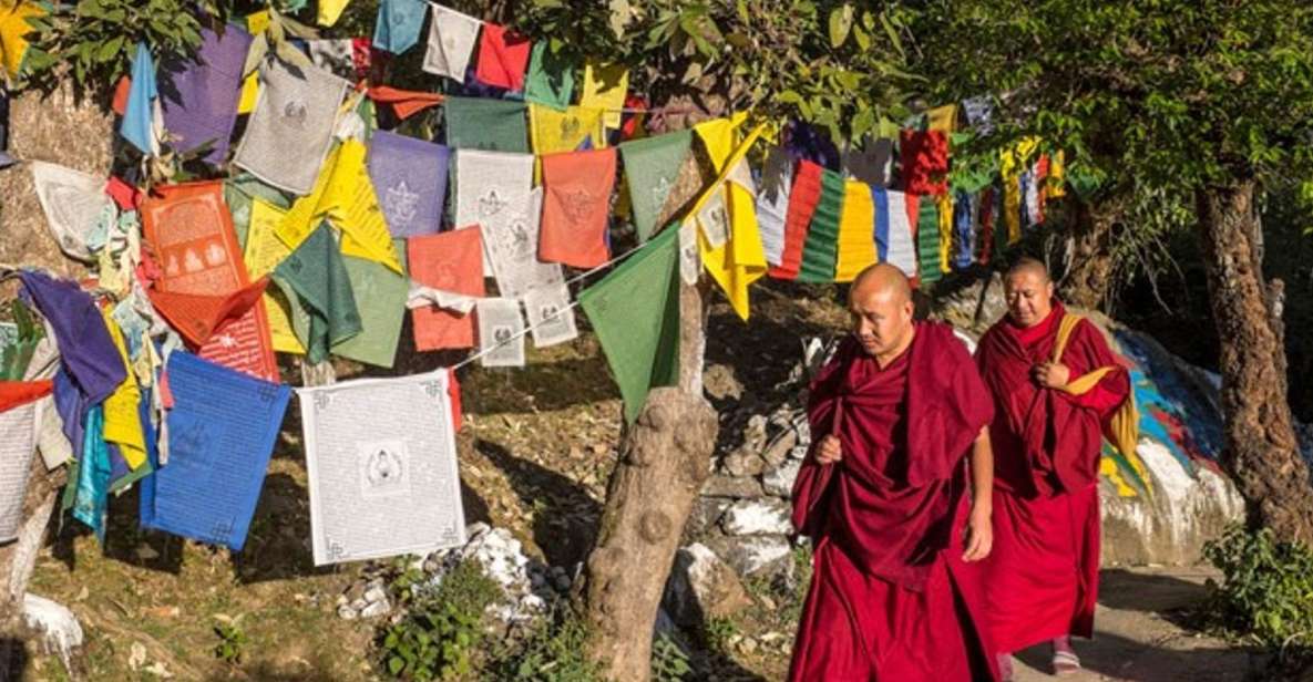 Guided Walk, India's Own Mini Tibet at Mcleodganj - Price and group size: what you’re really paying for