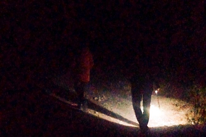 Haunted walk - How the walk timeline actually feels on the ground