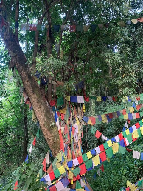 Healing Day tour - Shaman Healing - Who should book this, and who should be cautious
