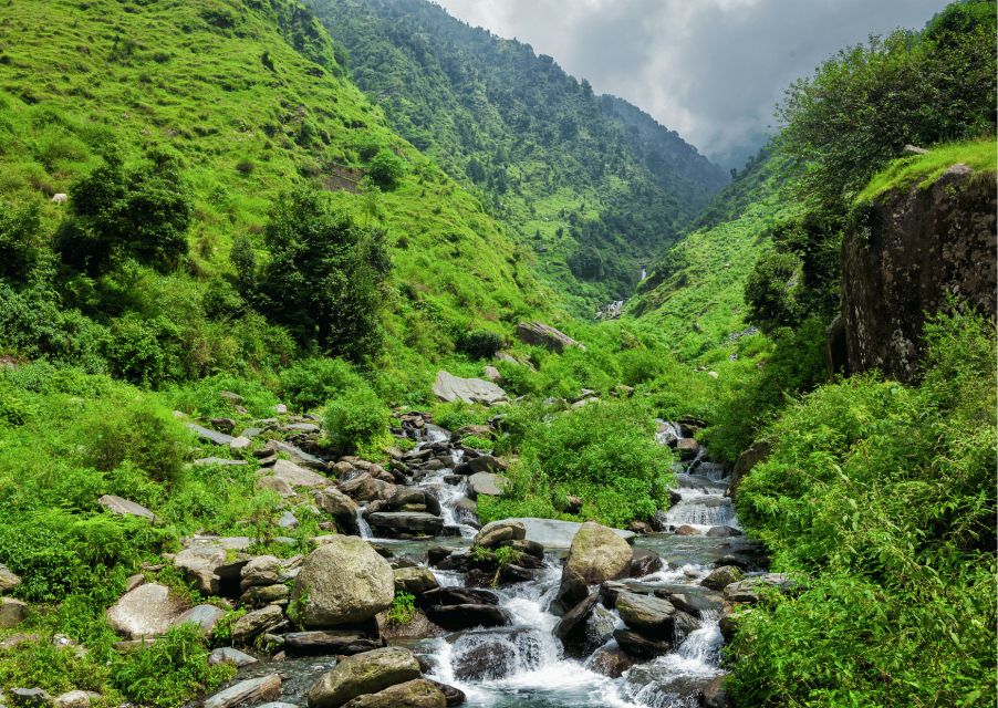 Heritage & Cultural Trails of McLeodGanj Guided Walking Tour - McLeodGanj Central Square and the Mini Tibetan Market for Gifts That Mean Something