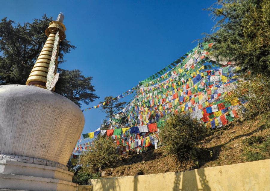 Heritage & Cultural Trails of McLeodGanj Guided Walking Tour - What “Infotainment” Feels Like in Real Time on a 2-Hour Tour