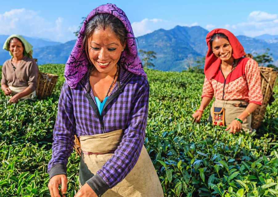 Heritage & Cultural Walk of Darjeeling (2 Hours Guided Tour) - Price and Value: What $23 Buys in Two Hours