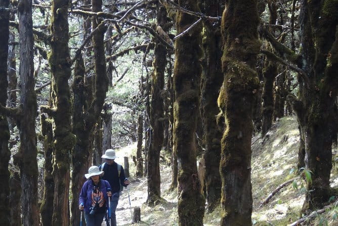 How to travel to Bhutan - Price and Logistics: Is $250 Per Person Good Value?
