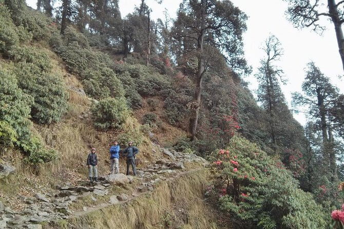 Indrahar Pass Trek with Manu Adventures India - Who should book Indrahar Pass with Manu Adventures India