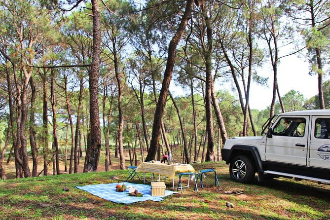 Jeep Safari and Picnic Tour - Getting From Pickup to the Foothills: Logistics That Save Stress