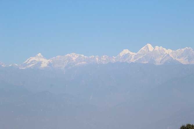 Kathmandu: 1 Day Hiking to Nagarjun Hill - Stop 3: Nagarjun Forest Reserve—wildlife and birds along the way