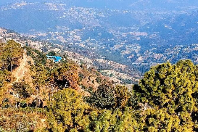 Kathmandu: 1 Day Hiking to Nagarjun Hill - Stop 5: back to Thamel—scenic transfer and a smooth wrap-up