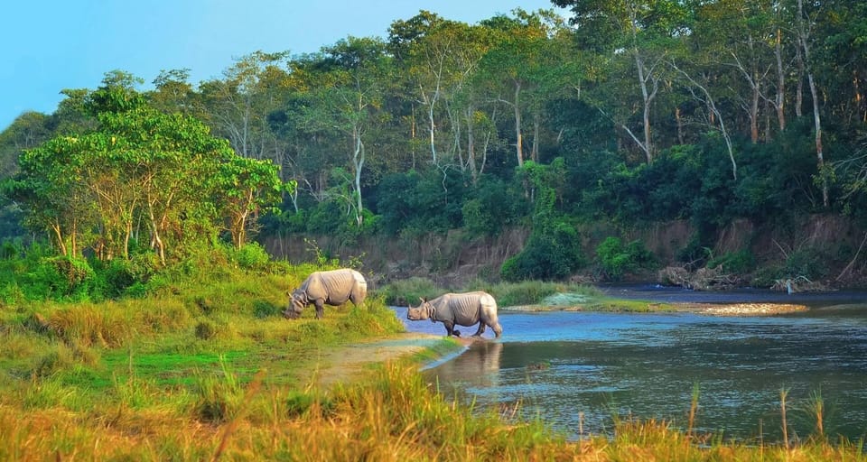 Kathmandu: 4-Day Private Chitwan National Park Safari Tour - Key Highlights Worth Your Time