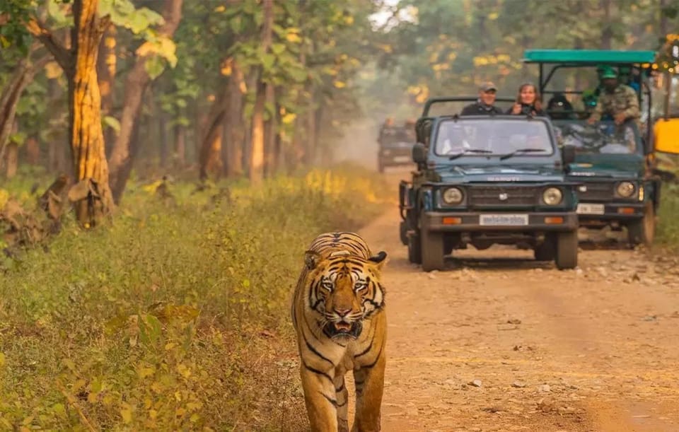 Kathmandu: 4-Day Private Chitwan National Park Safari Tour - From Kathmandu To Chitwan: A Clean Start to Jungle Days