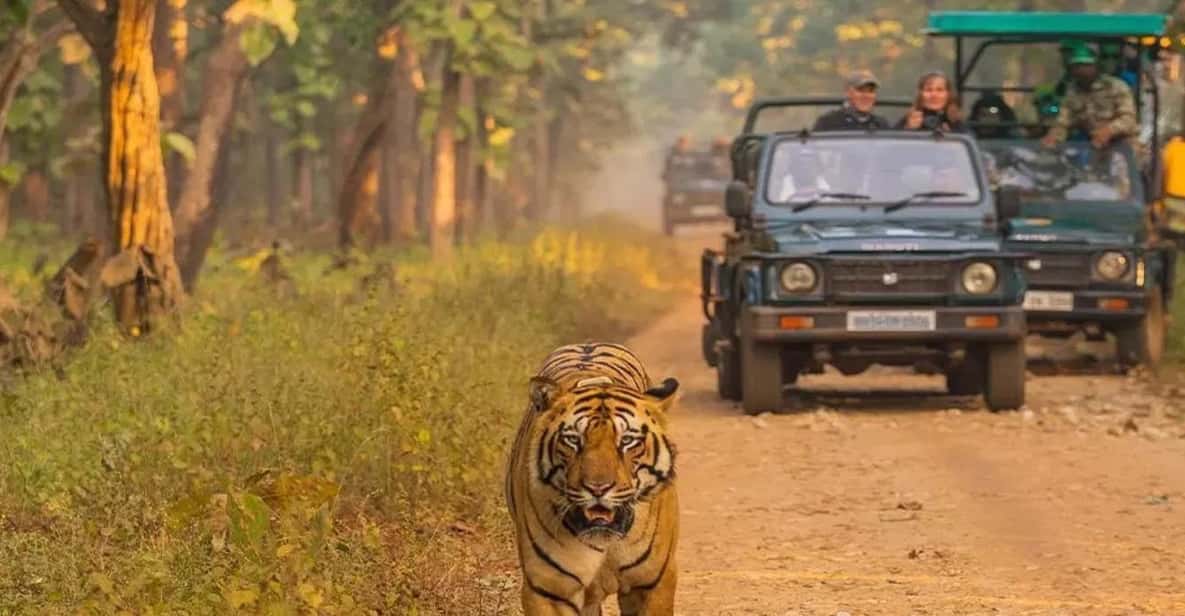 Kathmandu: 4-Day Private Chitwan National Park Safari Tour - Rapti River Canoe Ride: Slower, Quieter, and Often More Revealing
