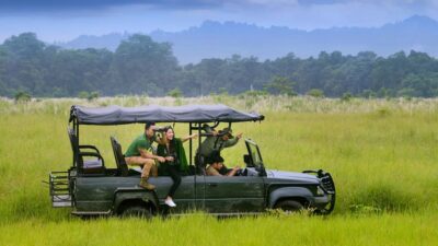 Kathmandu: 4-Day Private Chitwan National Park Safari Tour - Jeep Safari Morning: The Best Way to Read Chitwan Wildlife Habitat
