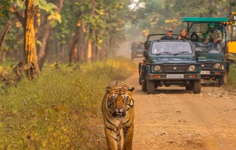 Kathmandu: 4-Day Private Chitwan National Park Safari Tour - Elephant Breeding Center and Tharu Village: Conservation With a Human Face