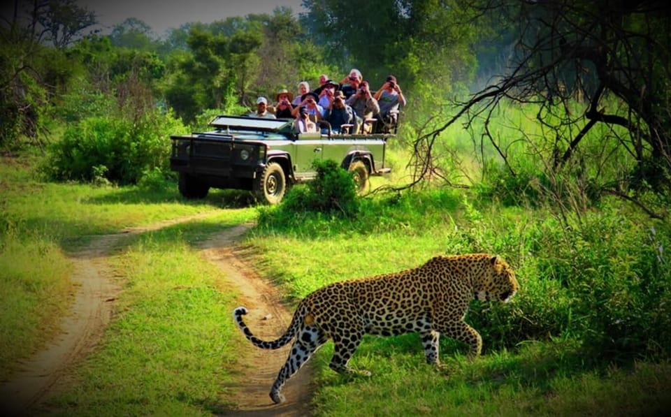 Kathmandu: 4-Day Private Chitwan National Park Safari Tour - Day 3: Your Choice Between Jungle Walk and Cycling to 20,000 Lake